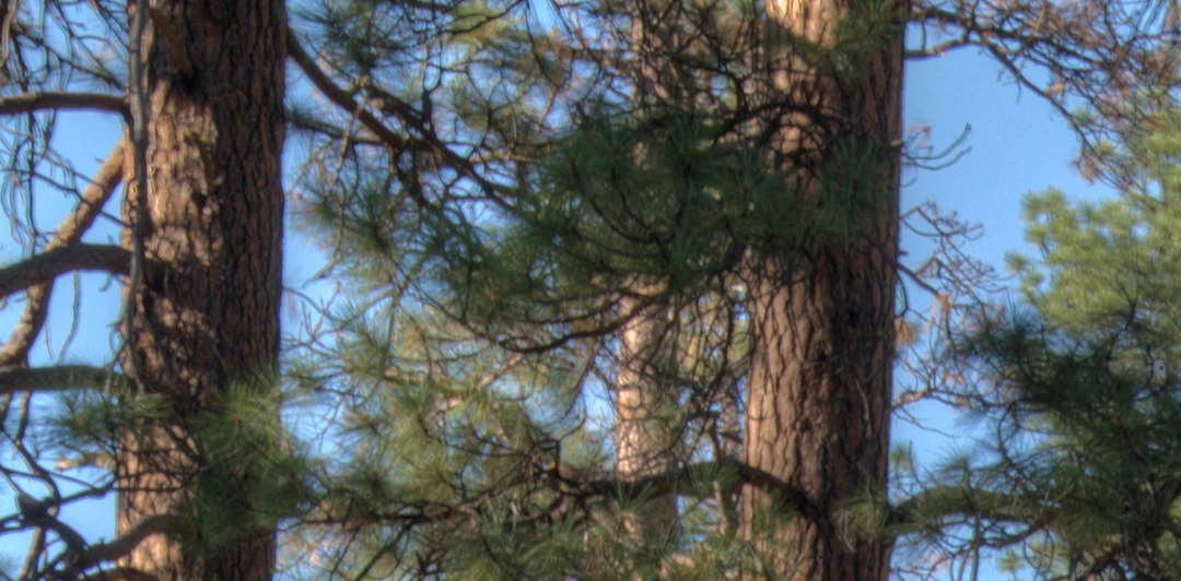 Mielipide Printtivaaran asemakaavan valmisteluvaiheen kuulemiseen 9.1.2026