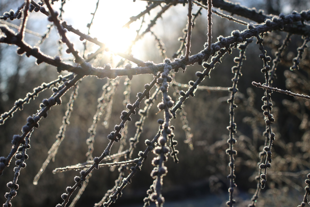 Mielipide Kilvenaavan tuulivoimapuiston vireilletulosta ja OAS:stä