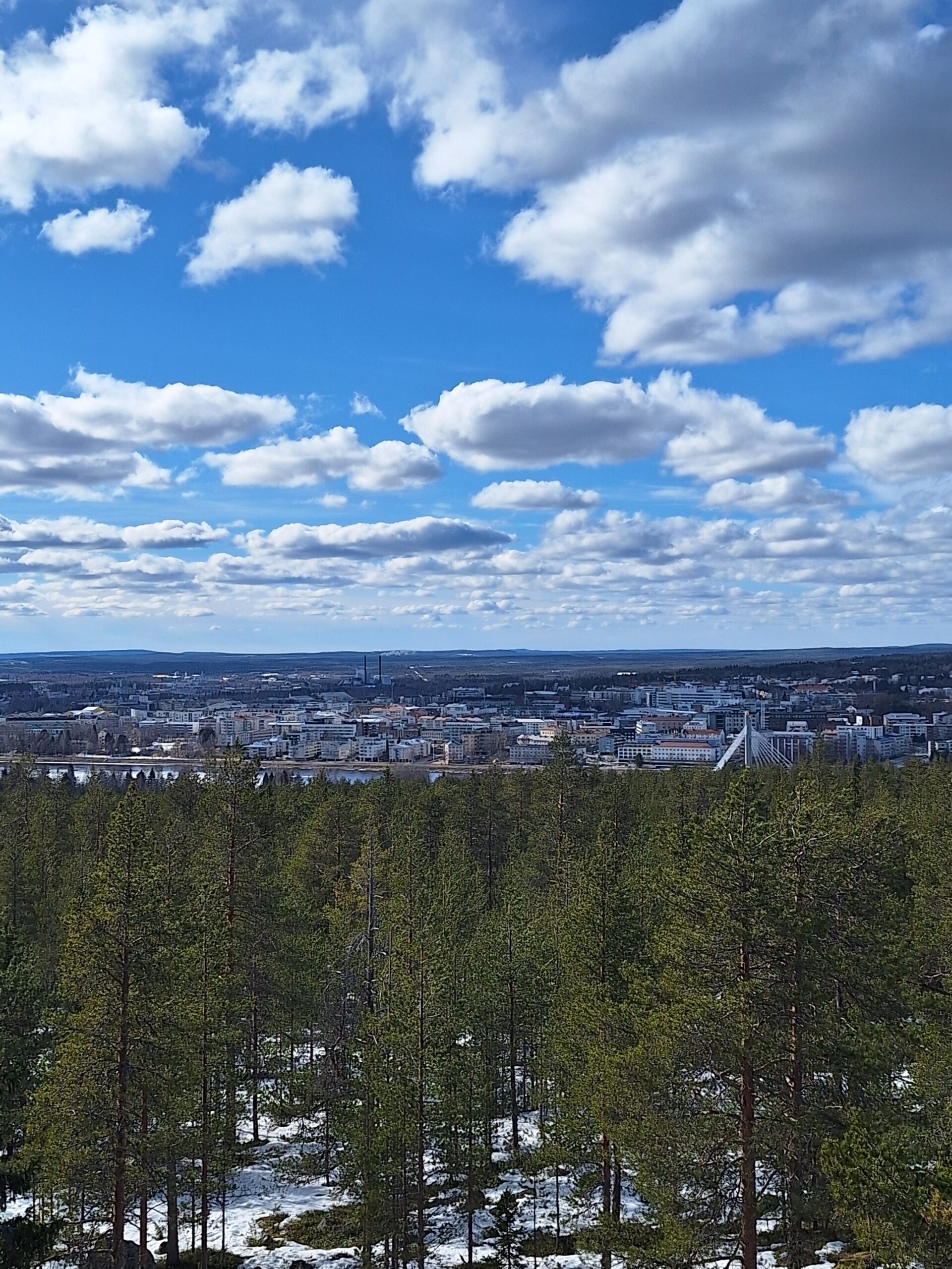 Lausunto Rovaniemen kaupungin kasvuohjelmaan 26.4.2026