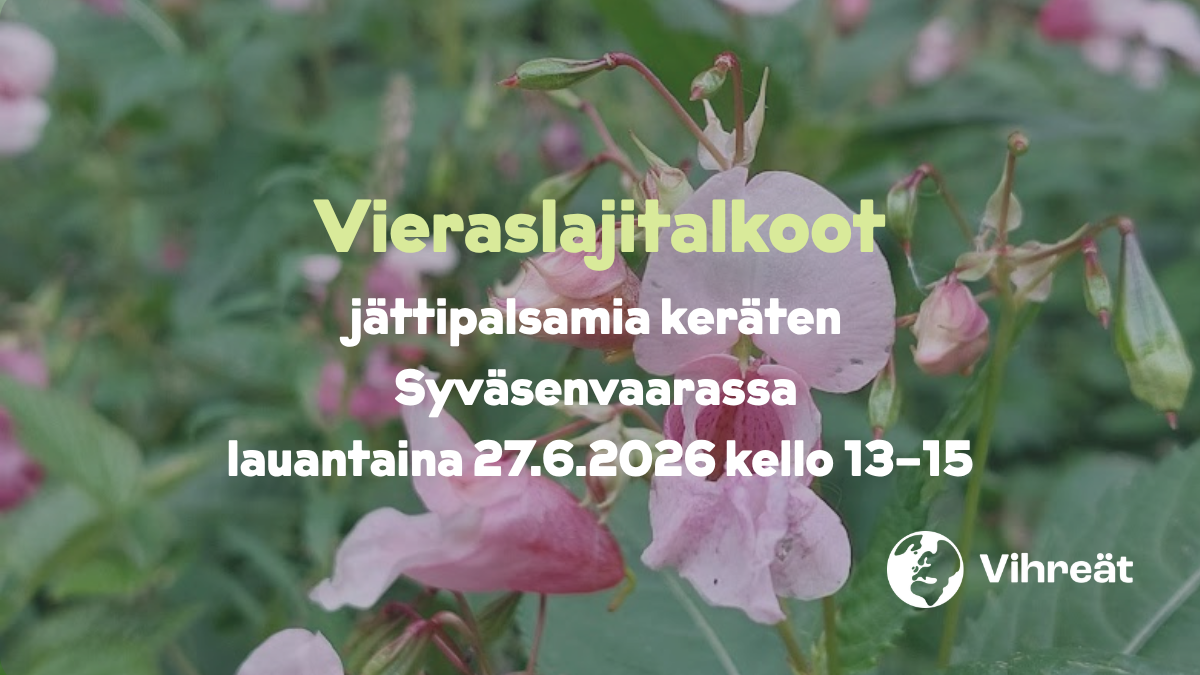 Vieraslajitalkoot